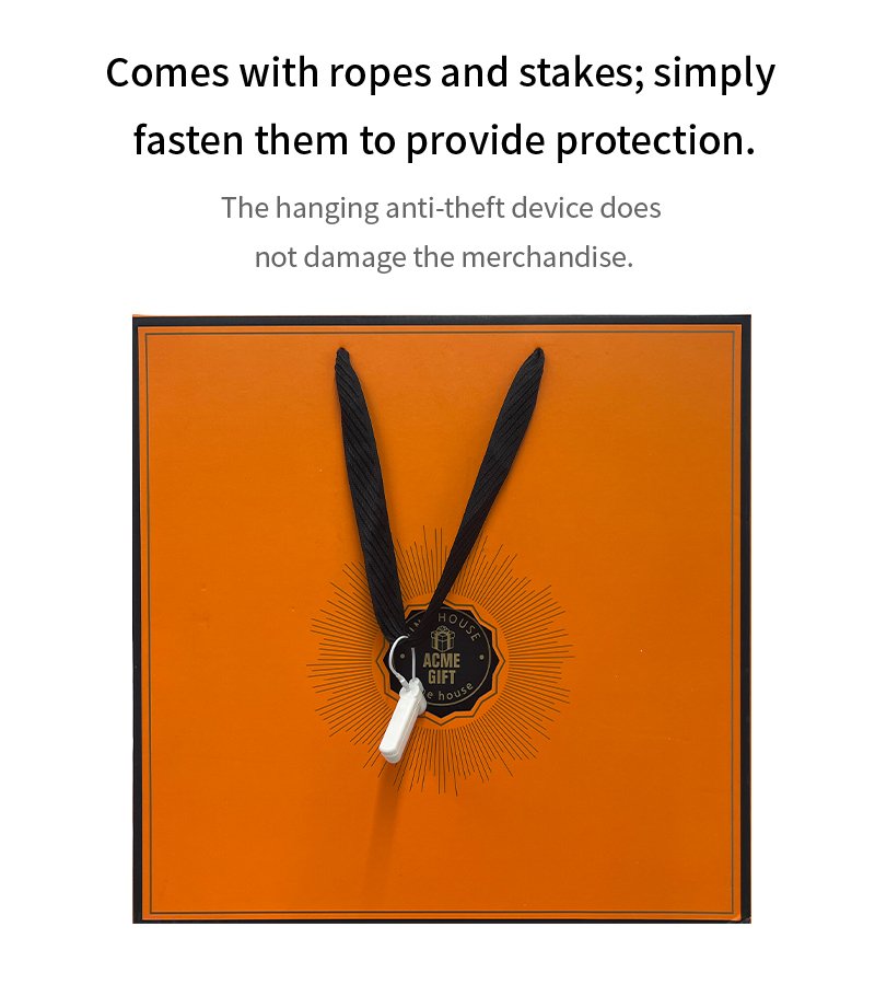 EAS Security Tags with Lanyard | Hammerhead Anti-Theft Tags - 图片 3